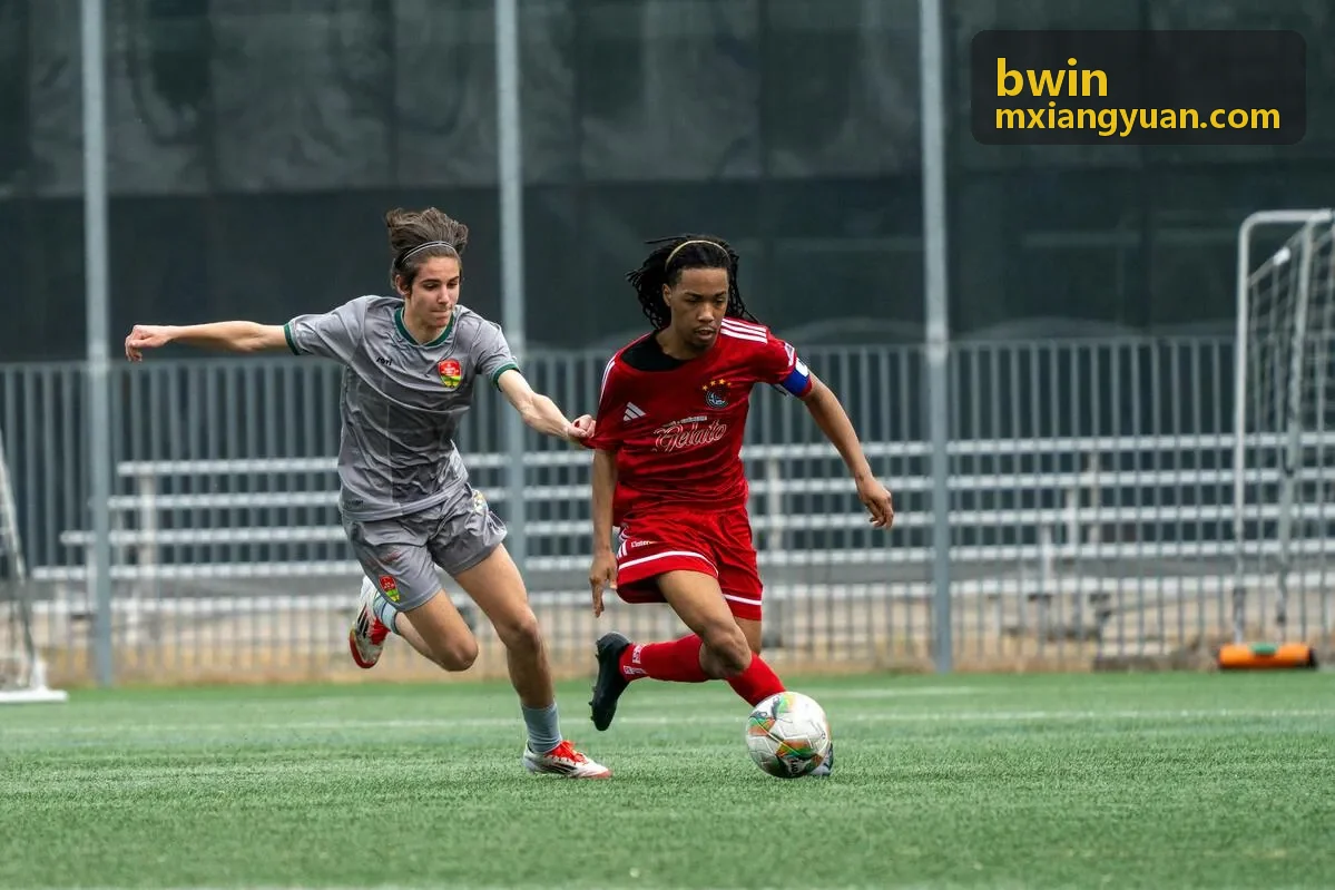 bwin 智能分析仪表盘